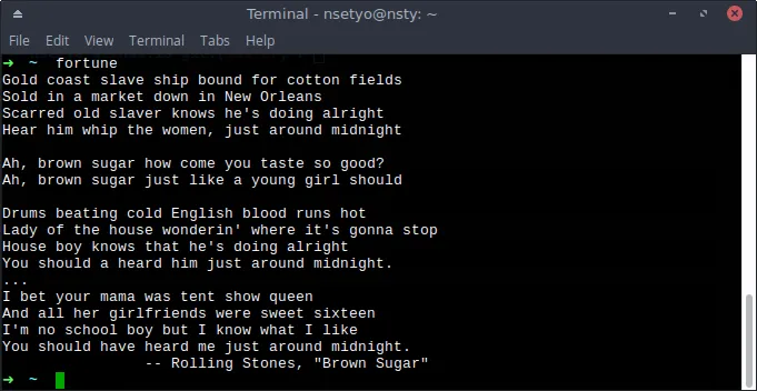 A terminal showing &#x27;fortune&#x27; command output