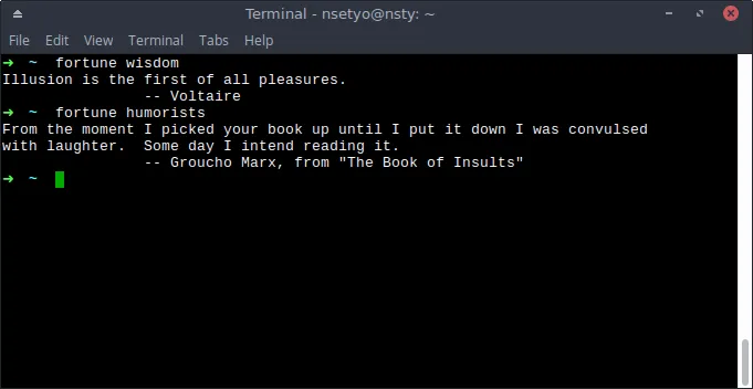 A terminal showing &#x27;fortune wisdom&#x27; command output
