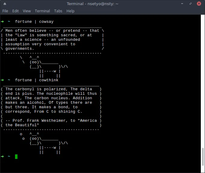 A terminal showing &#x27;fortune | cowthink&#x27; command output