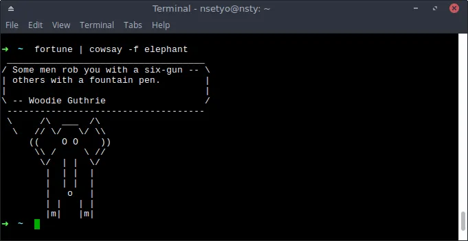 A terminal showing &#x27;fortune | cowsay -f elephant&#x27; command output