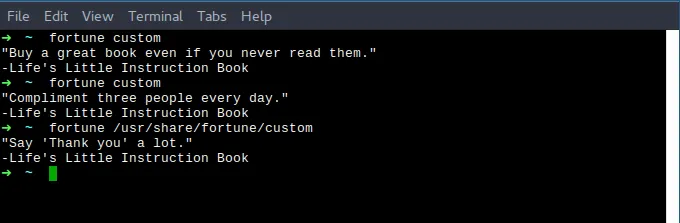 A terminal showing &#x27;fortune custom&#x27; command output